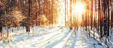 Fill Winter with Energy, Focus, Hydration & Vitality by Susan Gianevsky