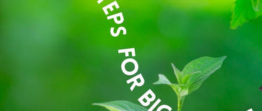 How to Live Sustainably – 6 Easy Steps to Follow
