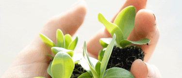 A Better Future for Our Planet is just One Eco-swap away!