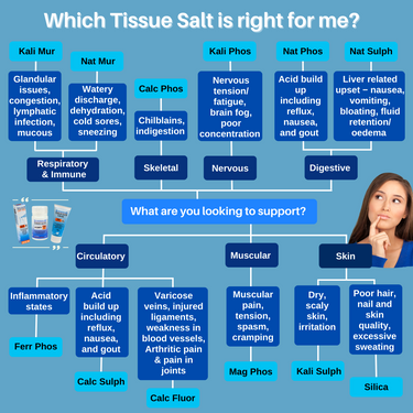 Schuessler Tissue Salts 125 Tablets - 12 Single Bundle