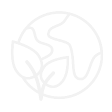 A light gray outline icon of a globe with leaves, serving as a generic placeholder graphic on a white background.