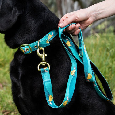 Anipal Lonesome George’s Legacy Dog Collar