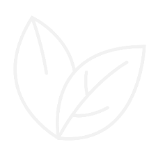 A minimalist light gray icon of two overlapping leaves on a white background, serving as a generic placeholder graphic.