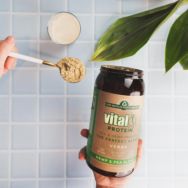 Vital Plant Protein Pea & Hemp Protein Powder Blend 500G