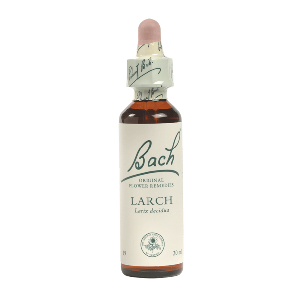 Larch Bach Original Flower Remedies Martin & PleasanceMartin & Pleasance