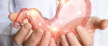 Nourishing Your Digestive System Daily