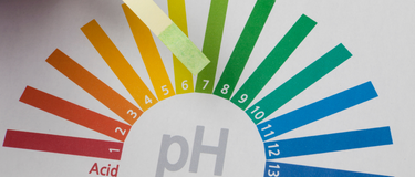 Acidity vs Alkalinity by Susan Gianevsky