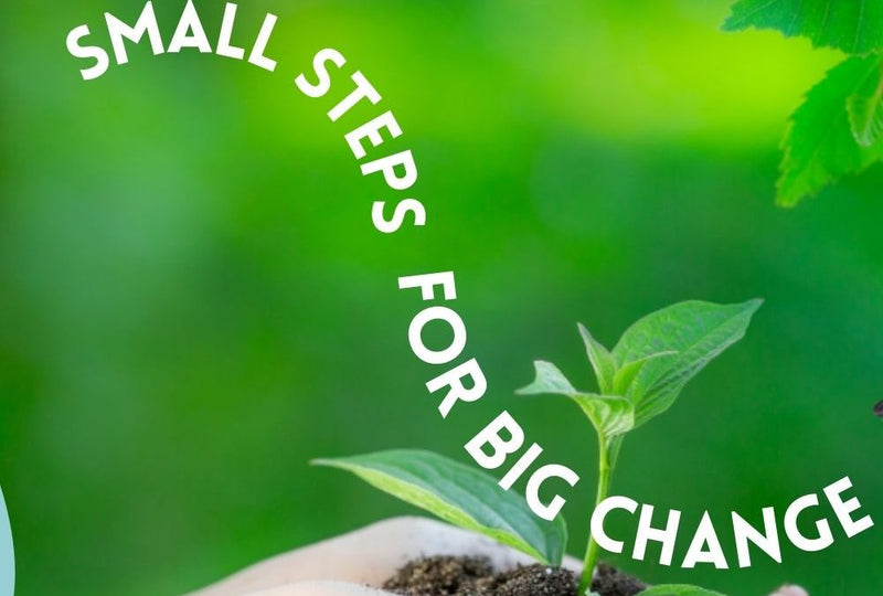 How to Live Sustainably – 6 Easy Steps to Follow
