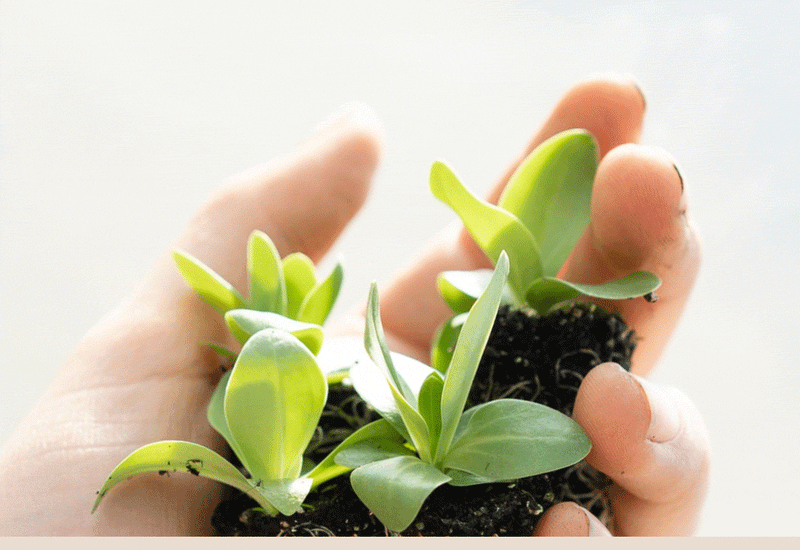 A Better Future for Our Planet is just One Eco-swap away!