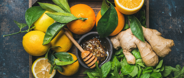 Start Building a Strong Immune System by Susan Gianevsky