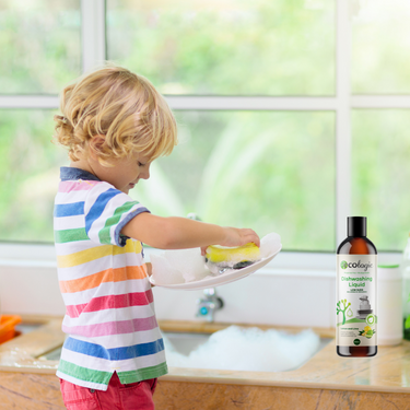 ECOLogic Lemon & Lime Dishwashing Liquid 500ml