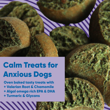Calm Treats for Anxious Dogs