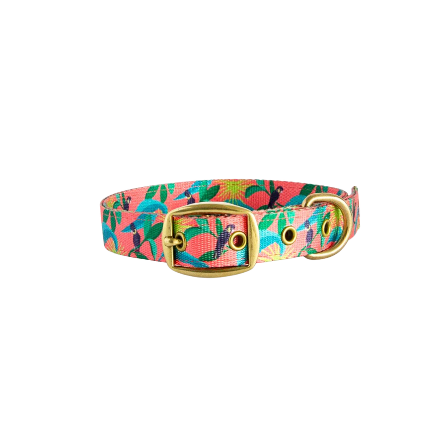 Anipal Clancy the Black Cockatoo Dog Collar