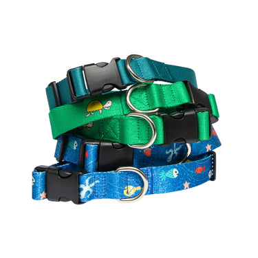 Anipal Lonesome George’s Legacy Dog Collar