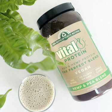 Vital Plant Protein Pea & Hemp Protein Powder Blend 500gm
