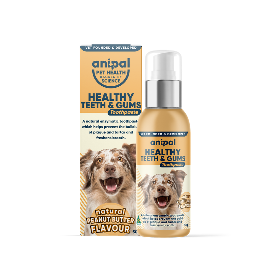 Healthy Teeth & Gums Toothpaste 50g