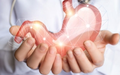 Nourishing Your Digestive System Daily