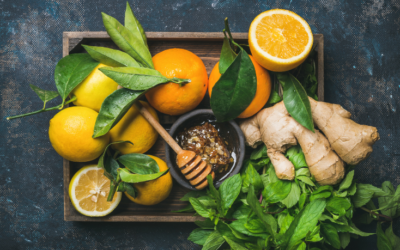 Start Building a Strong Immune System by Susan Gianevsky