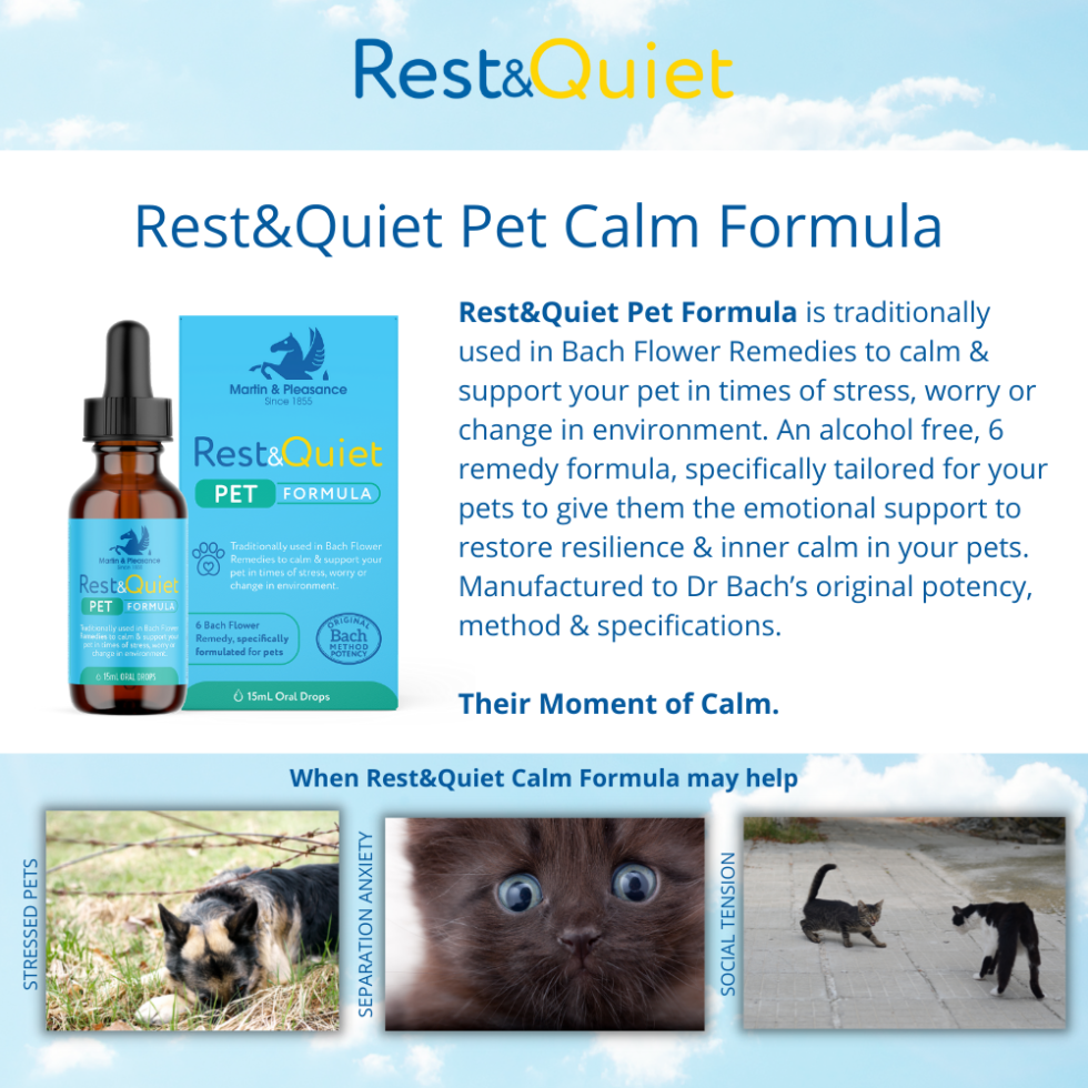 Rest&Quiet Pet Formula Drops 15mL Martin & Pleasance