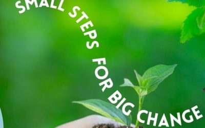 How to Live Sustainably – 6 Easy Steps to Follow