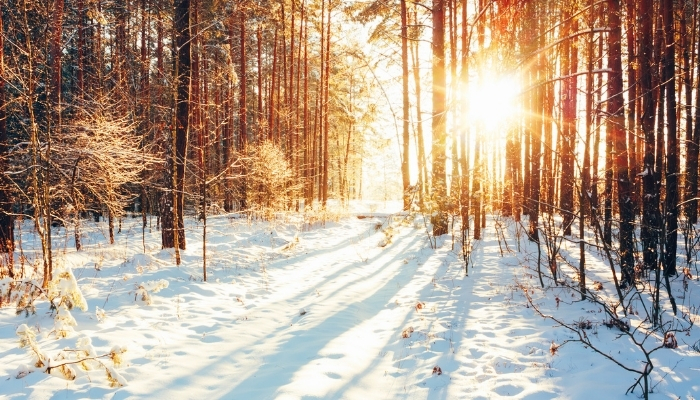 Fill Winter with Energy, Focus, Hydration & Vitality by Susan Gianevsky