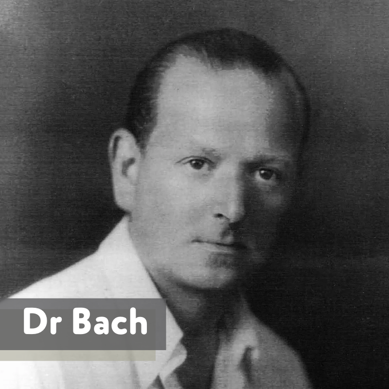 Dr Bach