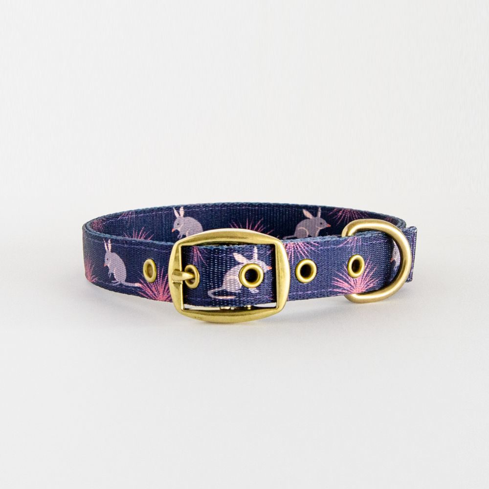 Anipal Kylo the Koala Dog Collar Martin Pleasance