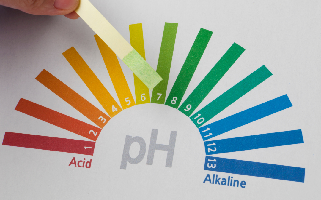 Acidity vs Alkalinity by Susan Gianevsky