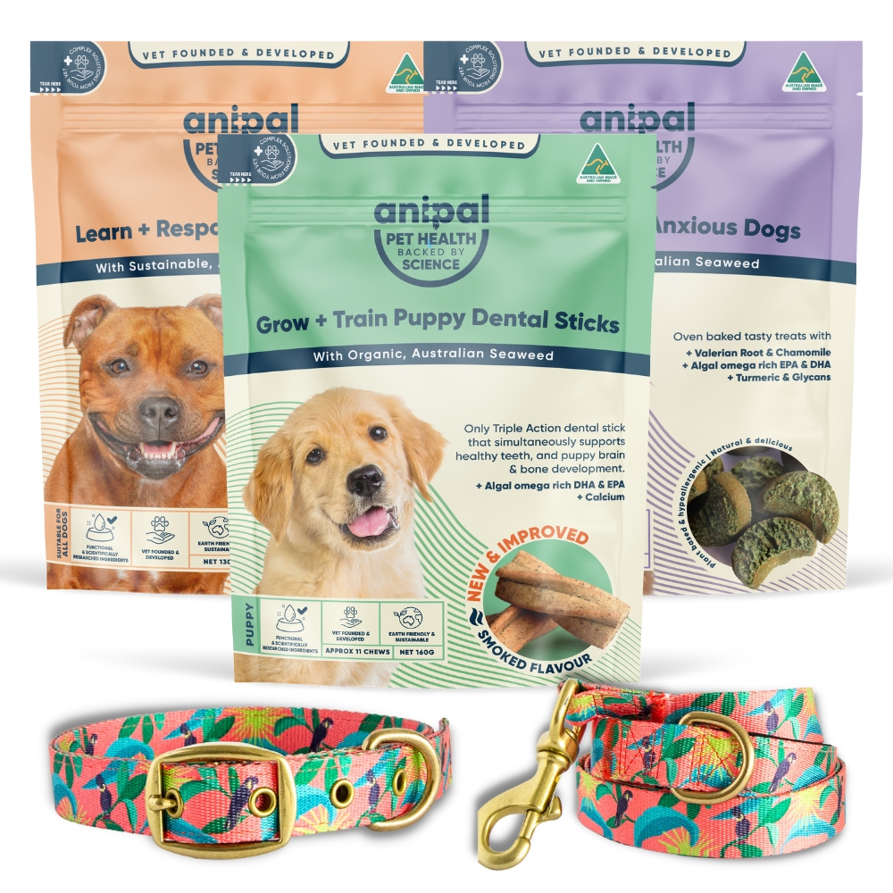 Anipal Calm Treats for Anxious Dogs<br />
