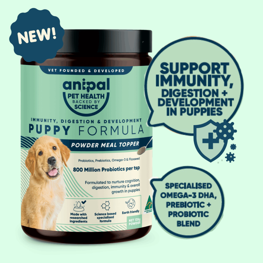 puppy immunisation chart