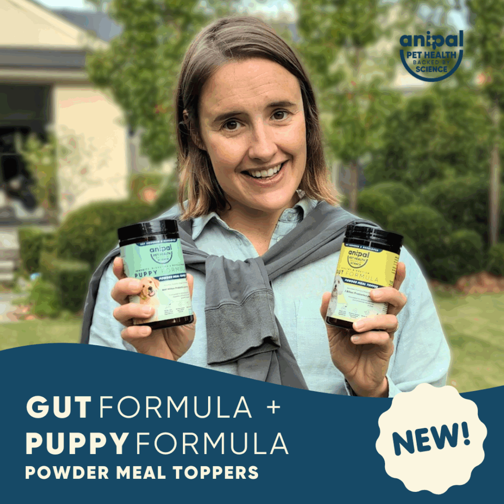 canine probiotics