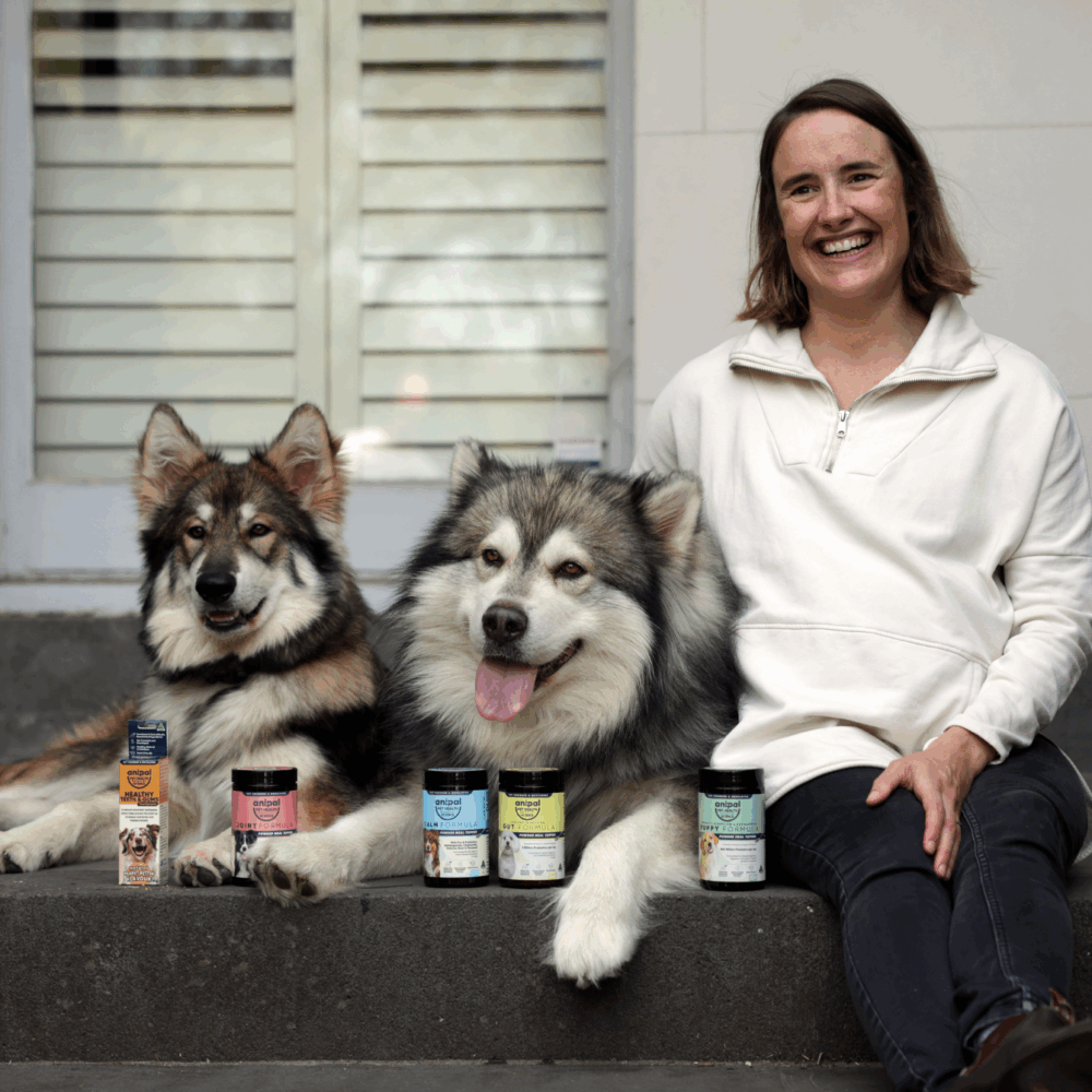 Vet driven pet dog supplement food